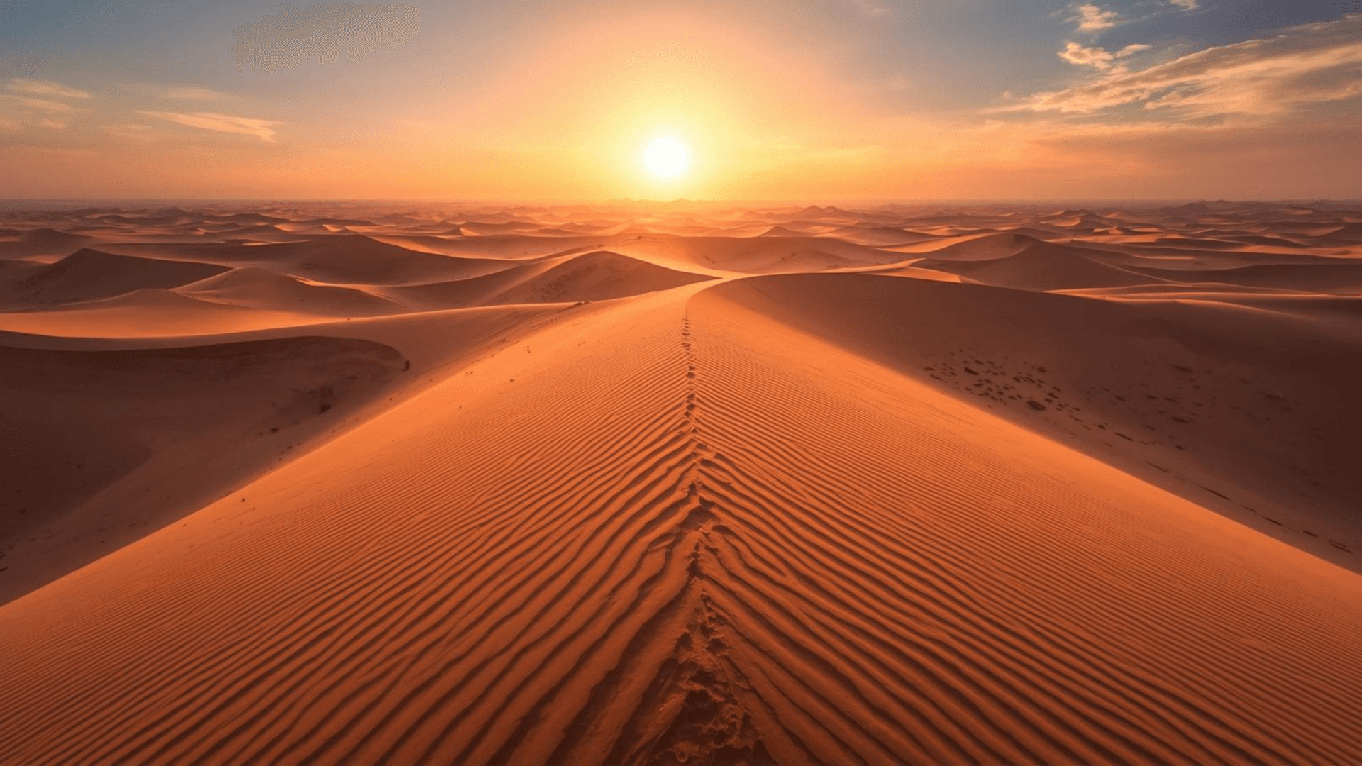Désert & Oasis d'Algérie