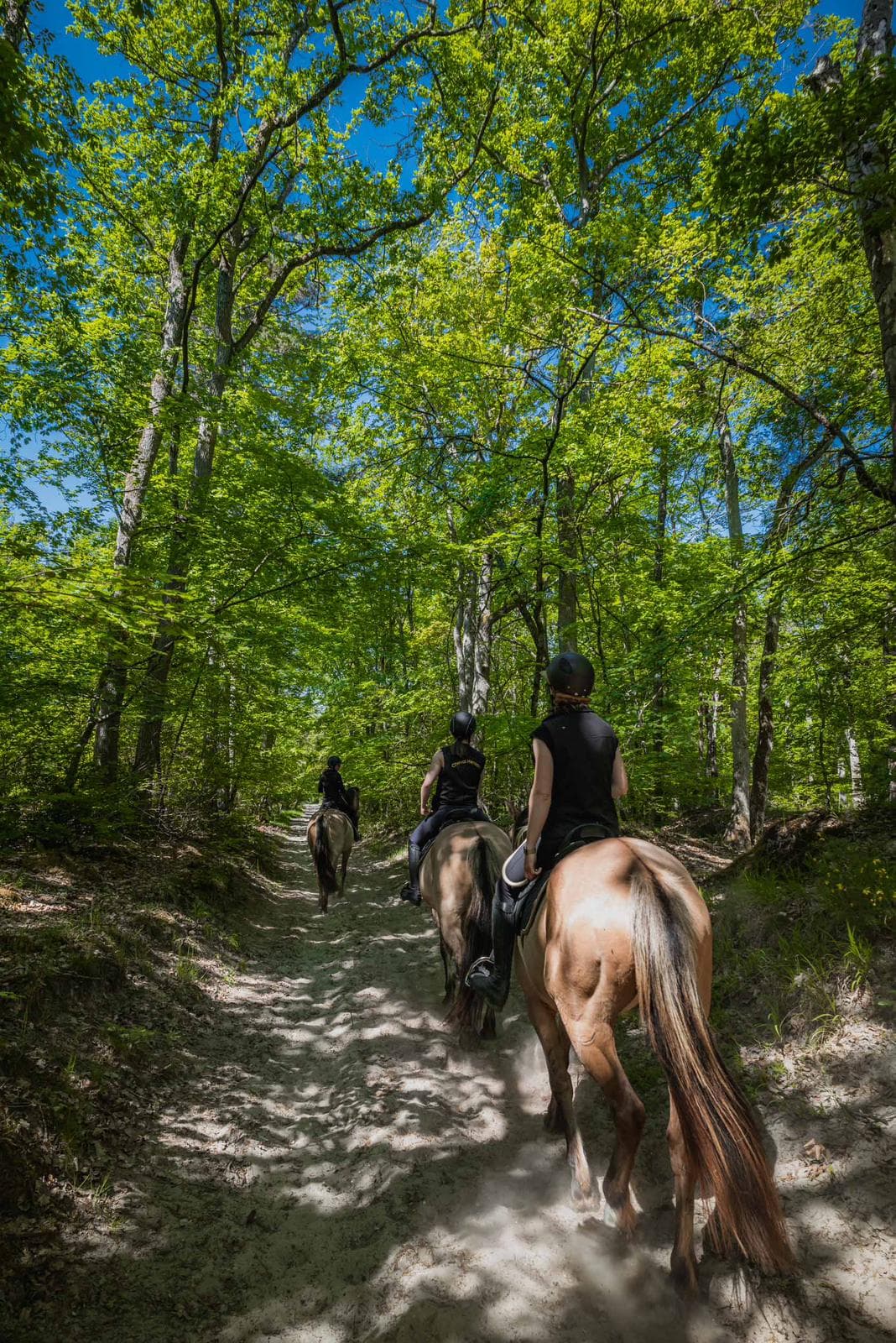 RANDONNÉE & INITIATION A CHEVAL